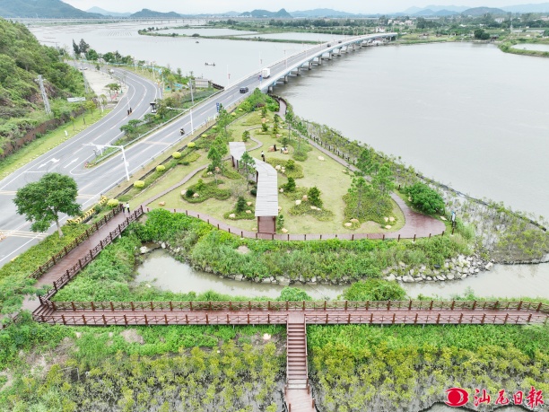 滨海生态乡村振兴示范带红树林公园 海丰县委办供图.jpg