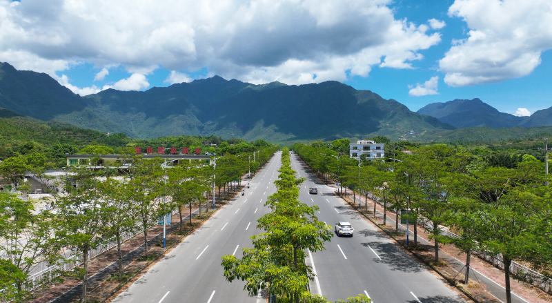 县道X128线(莲花大道)