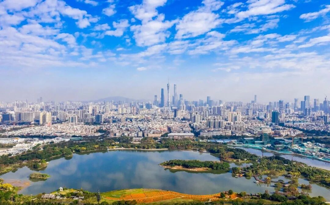 经济大省调研行丨挺膺勇担千斤梁——广东奋楫争先跑好开局第一棒