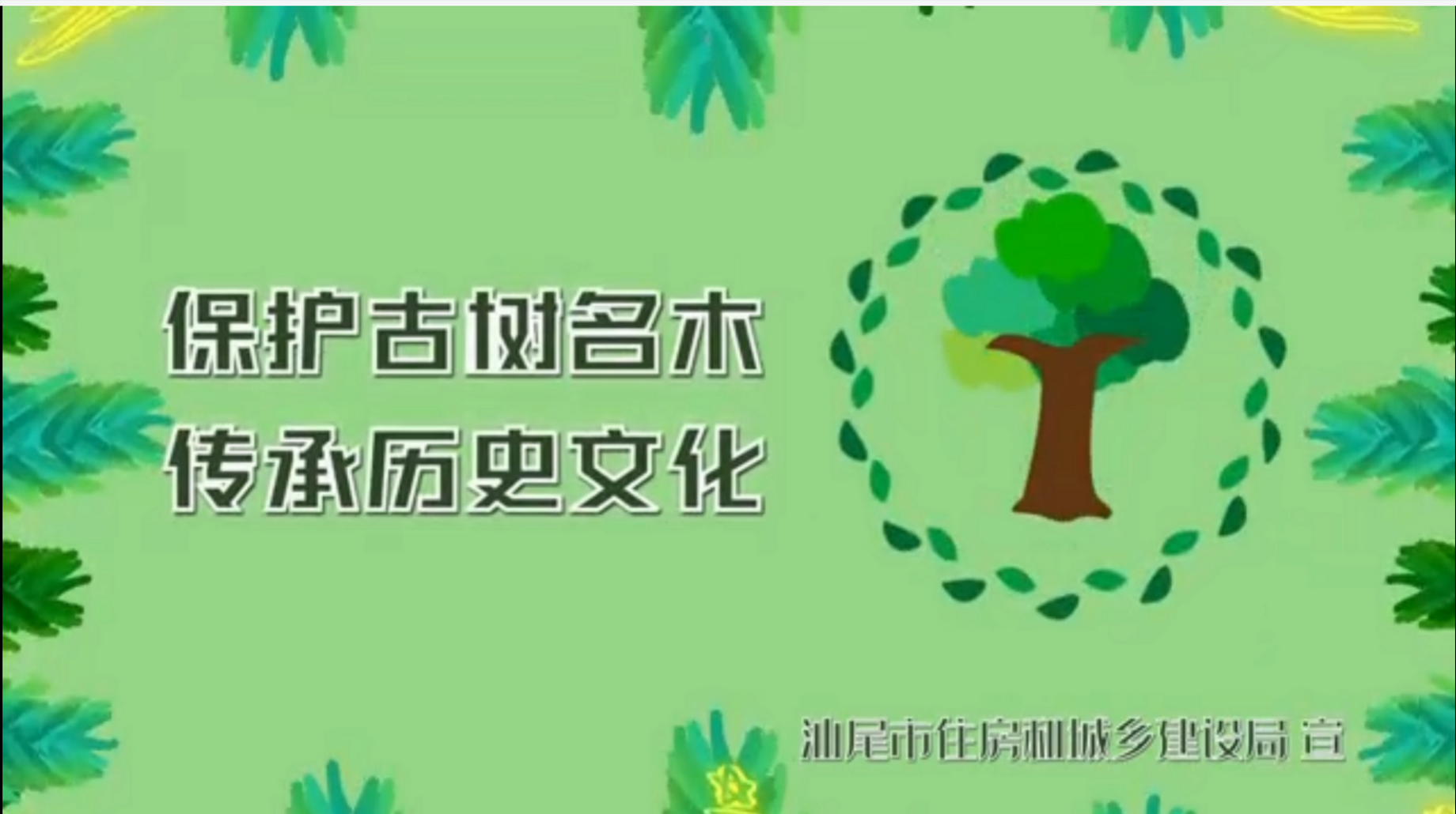 保护古树名木 传承历史文化