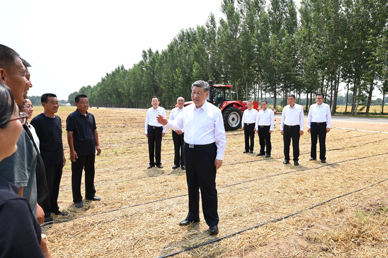 6月24日，中共中央总书记、国家主席、中央军委主席习近平在山东省德州市考察。这是习近平在陵城区边临镇东于架村，走进农田同种粮大户、农机手、农技人员亲切交流。