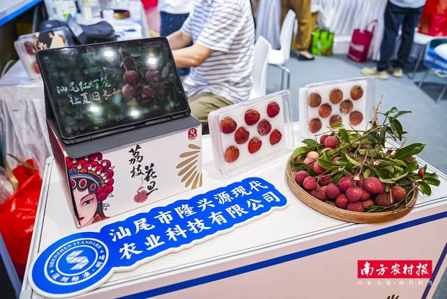 汕尾晚熟荔枝正值赏味期。 汕尾晚熟荔枝正值赏味期。
