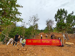 市供销社开展“金霞植绿添新景，供销护绿践初心”主题党日义务植树活动