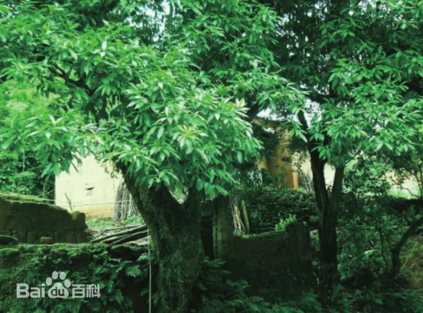 微信图片_20260703210638_337_5.png