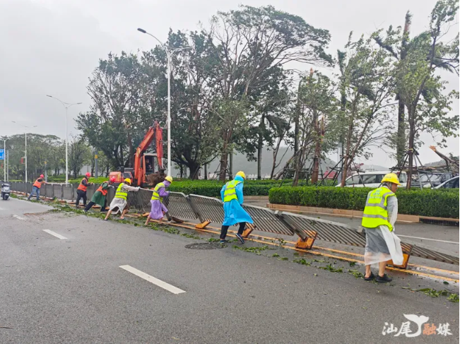迎风御险护家园 勠力同心护安澜——城区抗击强台风“红霞”工作纪实