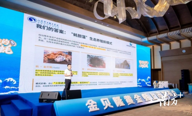 已编辑图片