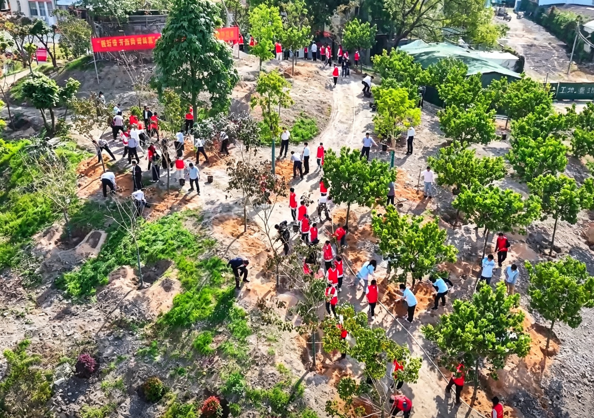 陆丰：精准发力植绿护绿 筑牢生态安全屏障