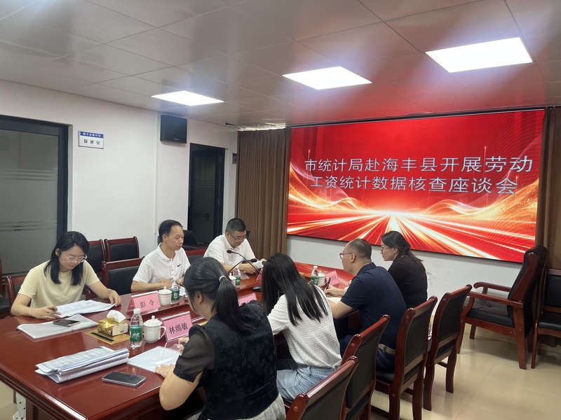 强化数据质量核查 规范劳动工资统计工作——汕尾市统计局开展劳动工资数据现场核查工作
