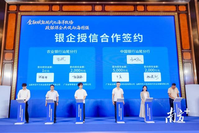 通讯员 供图