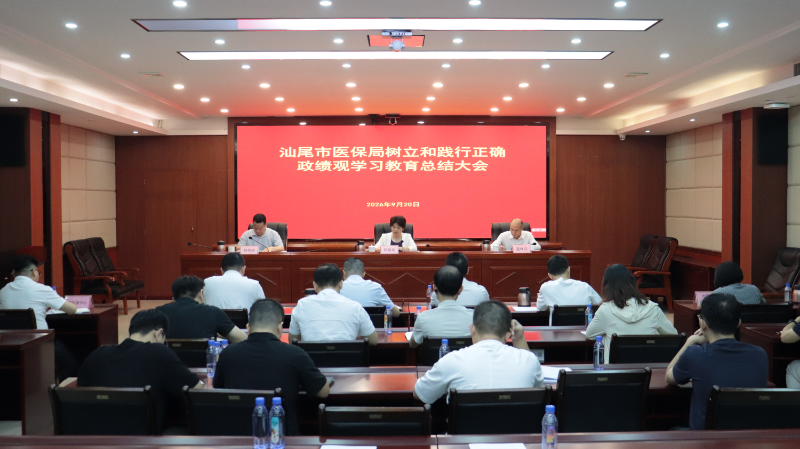 市医保局召开树立和践行正确政绩观学习教育总结大会