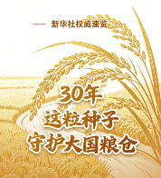 新华社权威速览丨30年，这粒种子守护大国粮仓