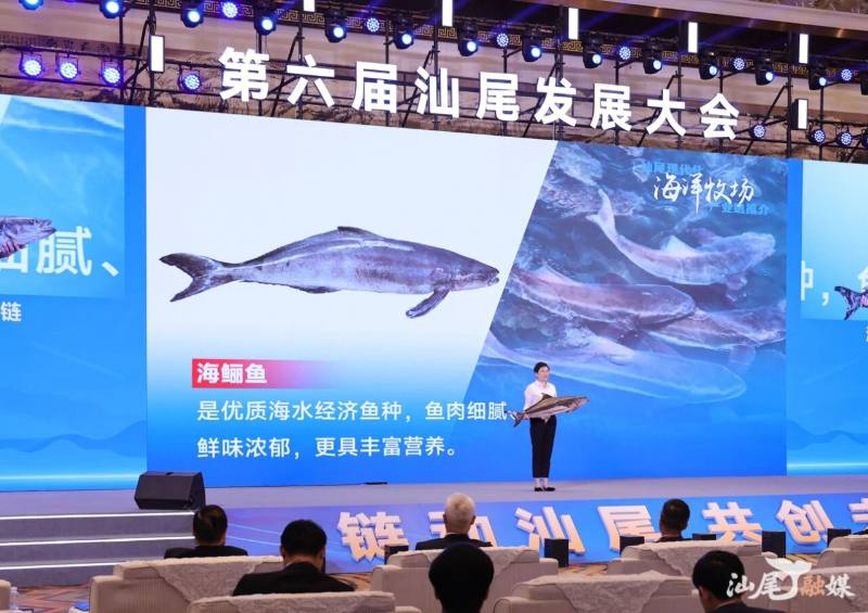 已编辑图片