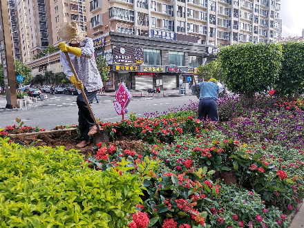 已编辑图片