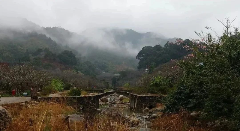 已编辑图片