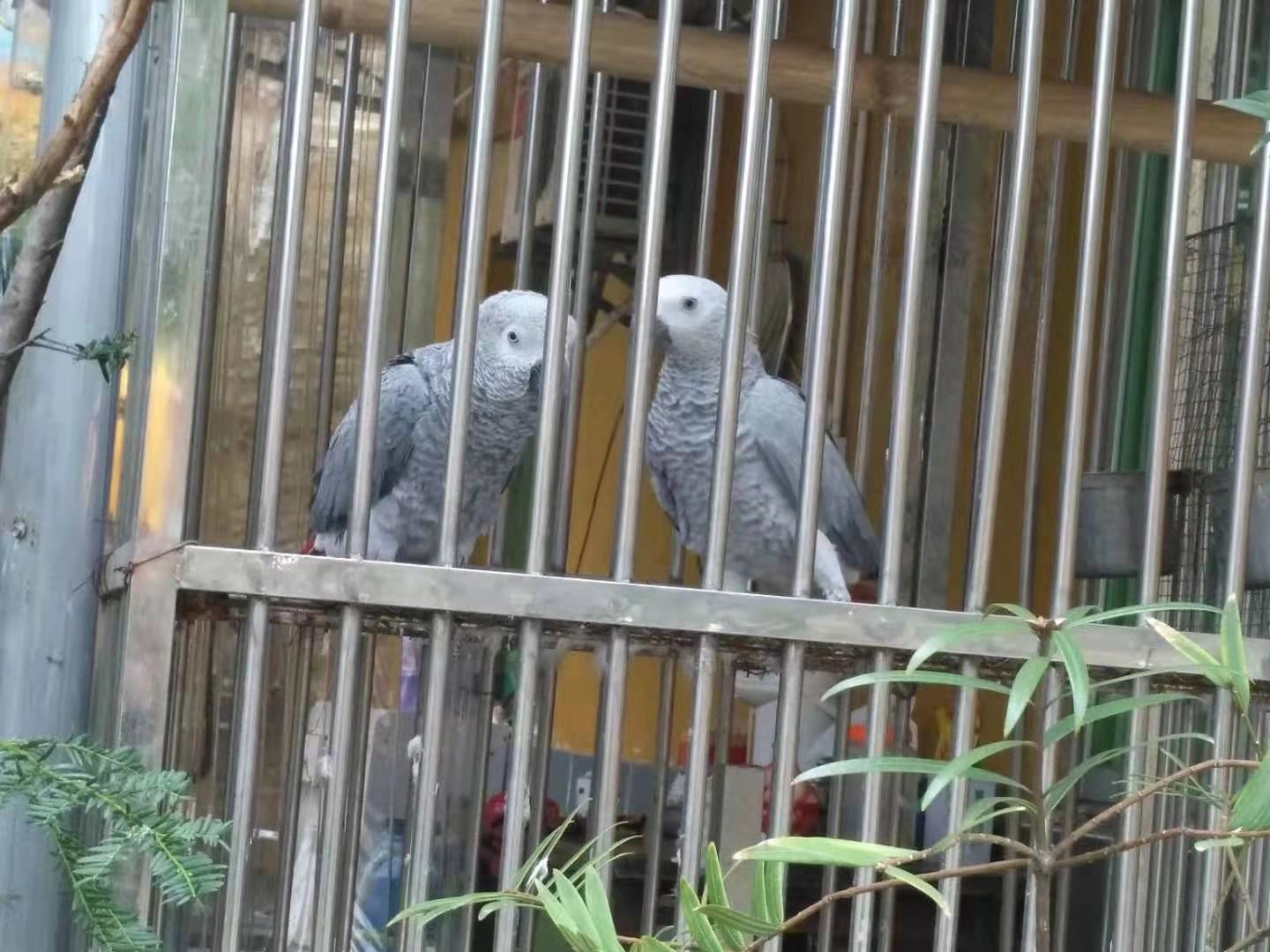 03.jpg