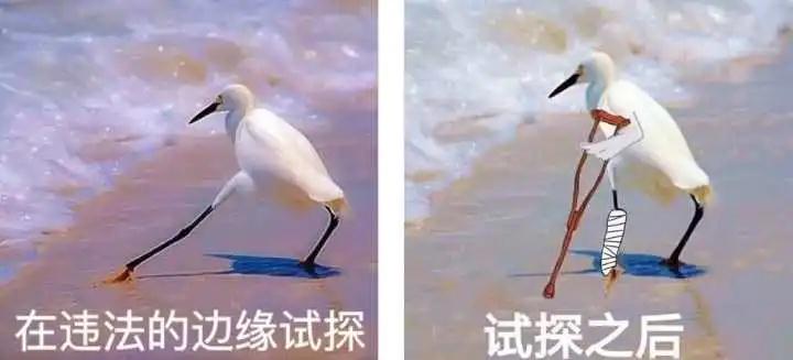 微信图片_20210408145643.jpg