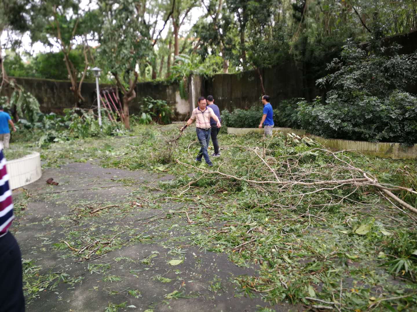 汕尾市城乡规划局全力开展灾后复产和环境清理