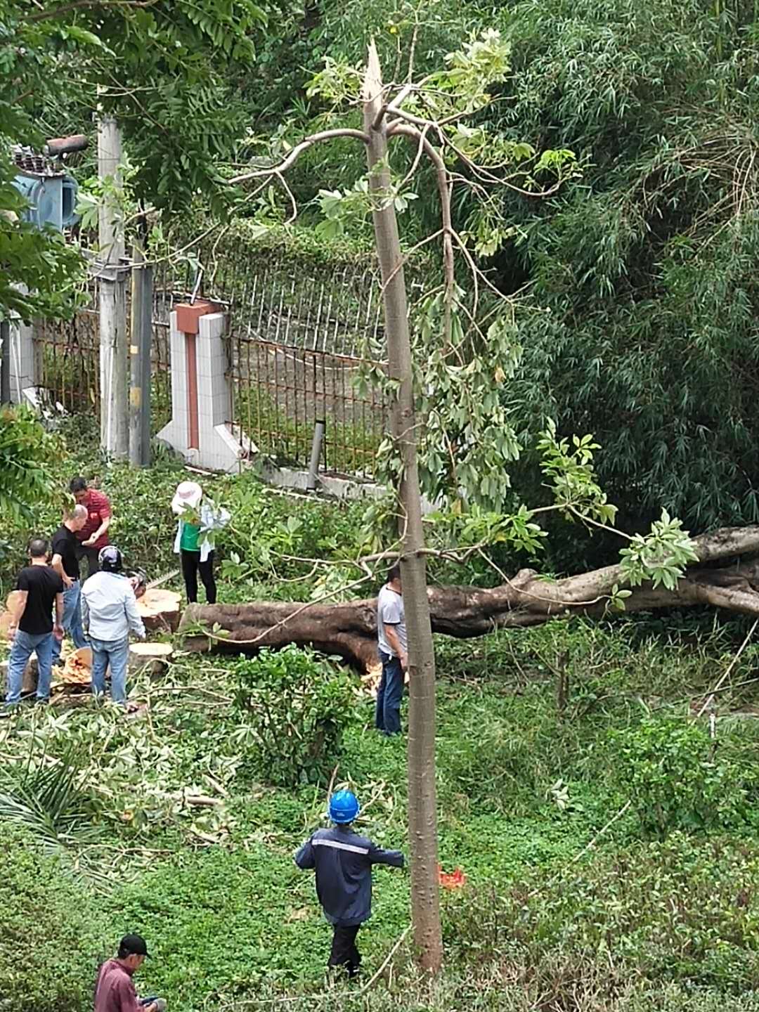 汕尾市城乡规划局全力开展灾后复产和环境清理