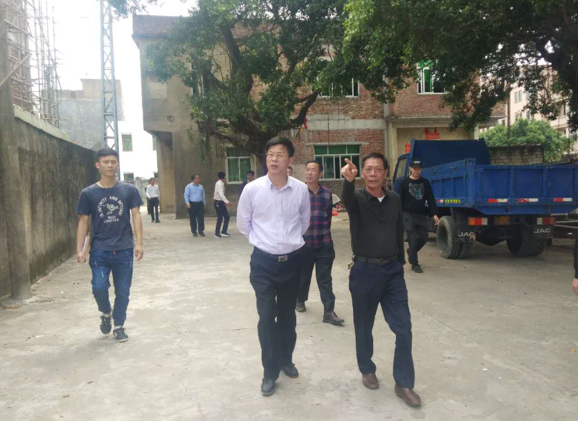 林少文副市长到陆丰市博美镇花城村督查人居环境整治工作