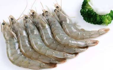 白刺虾