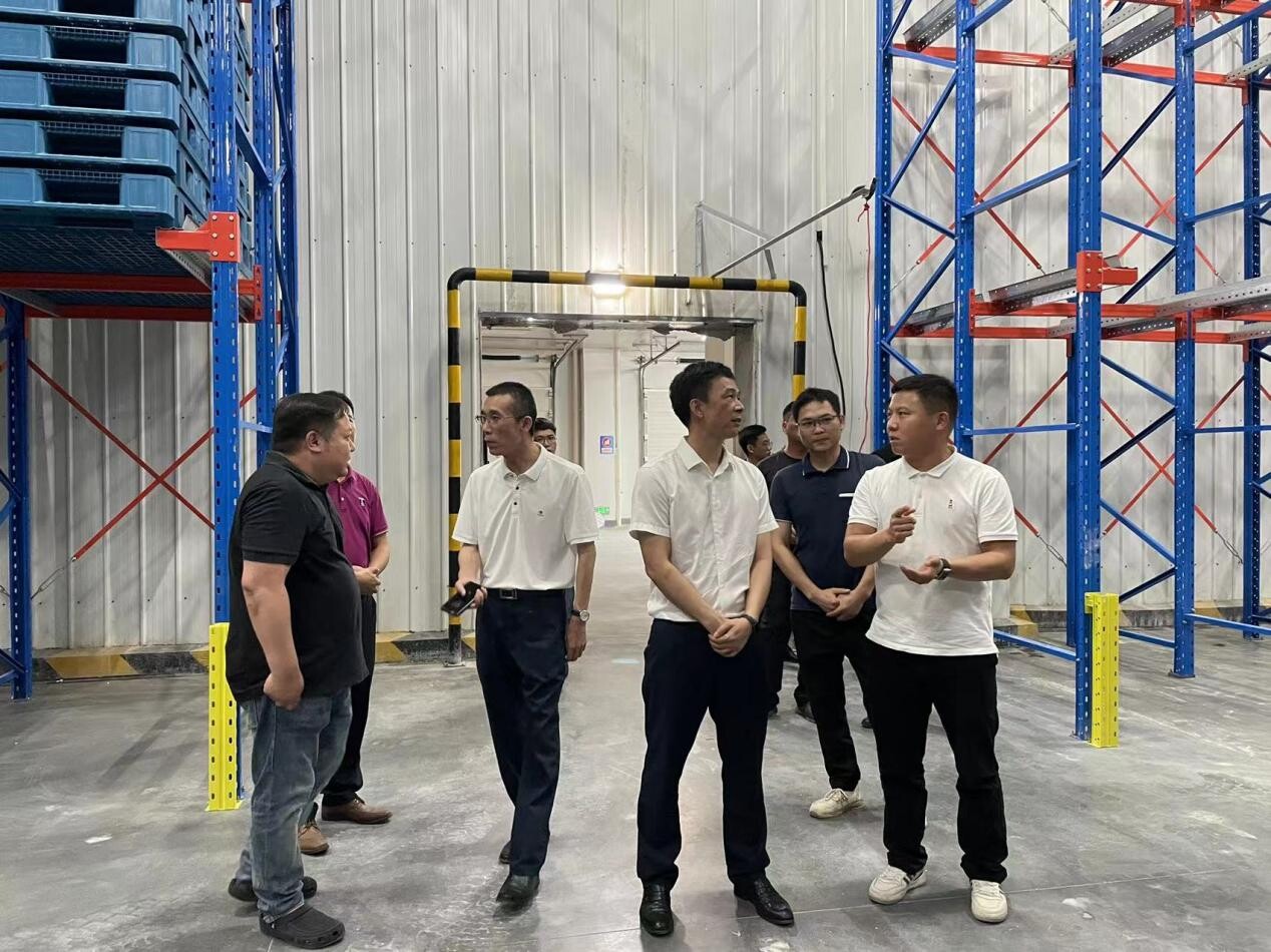 市供销社领导调研陆丰南塘供销农产品综合服务站和华侨冷链物流项目