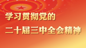 学习贯彻党的二十届三中全会精神