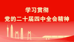 学习贯彻党的二十届四中全会精神