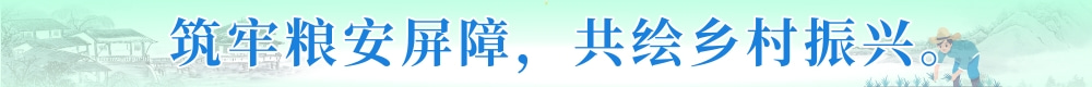 筑牢粮安屏障，共绘乡村振兴。
