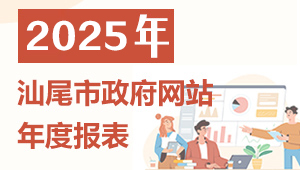 2025年汕尾市政府网站年度报表