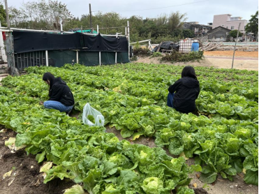 守护春节舌尖安全——市农业农村局农安抽检在行动