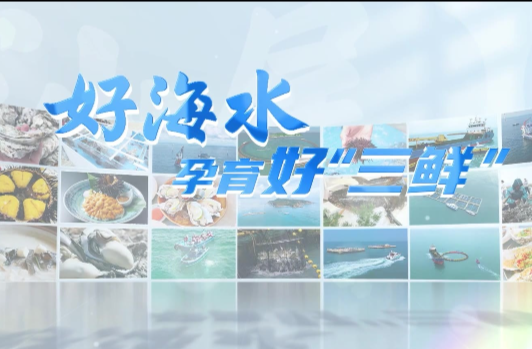 汕尾：好海水孕育好“三鲜”