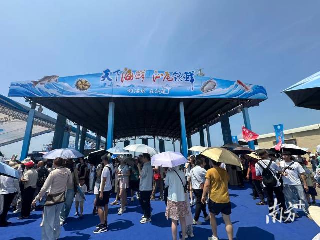 好山好水养好鱼！汕尾鱼群惊艳亮相开渔文旅活动现场