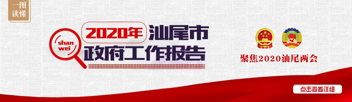 2020年汕尾市政府工作报告