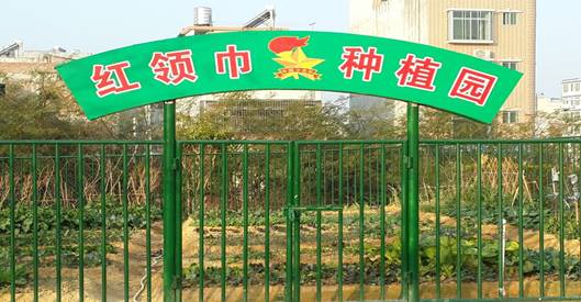 红领巾种植园1