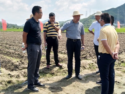 黄伟杰局长带队现场督导海汕路西闸至埔边段综合改造工程施工进度