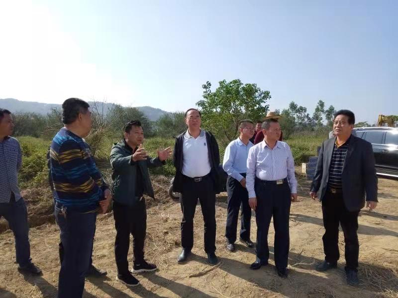 市农业局高火君局长带队到陆丰市东南片七镇调研撂荒土地复耕情况