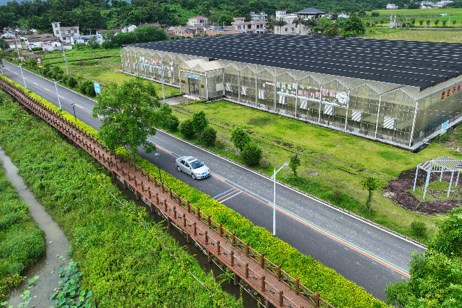 村道CD82线（附城镇新山村现代农业示范基地）.jpg