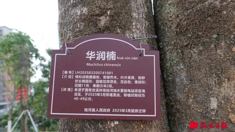 已编辑图片