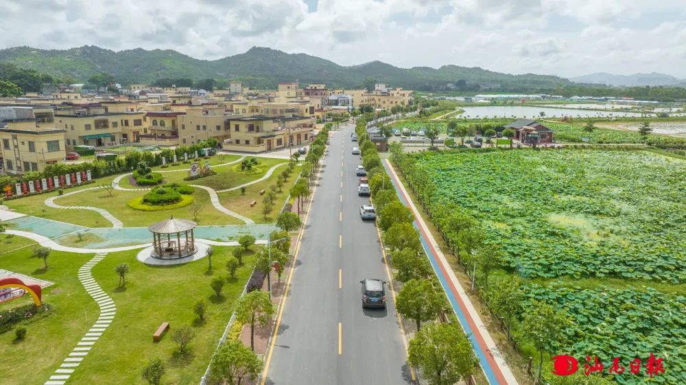 以“百千万工程”为总牵引 走好“海洋强市、融湾先行”之路4.jpg